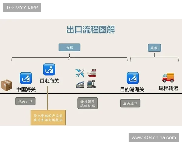 尊龙体育进口流程指南帮助用户快速掌握国际体育用品的购买与物流流程